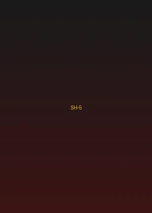 四虎影院 - 红尘客栈海报